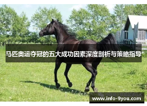 马匹奥运夺冠的五大成功因素深度剖析与策略指导