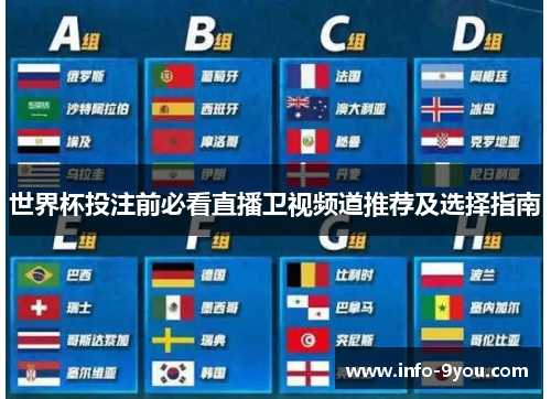世界杯投注前必看直播卫视频道推荐及选择指南
